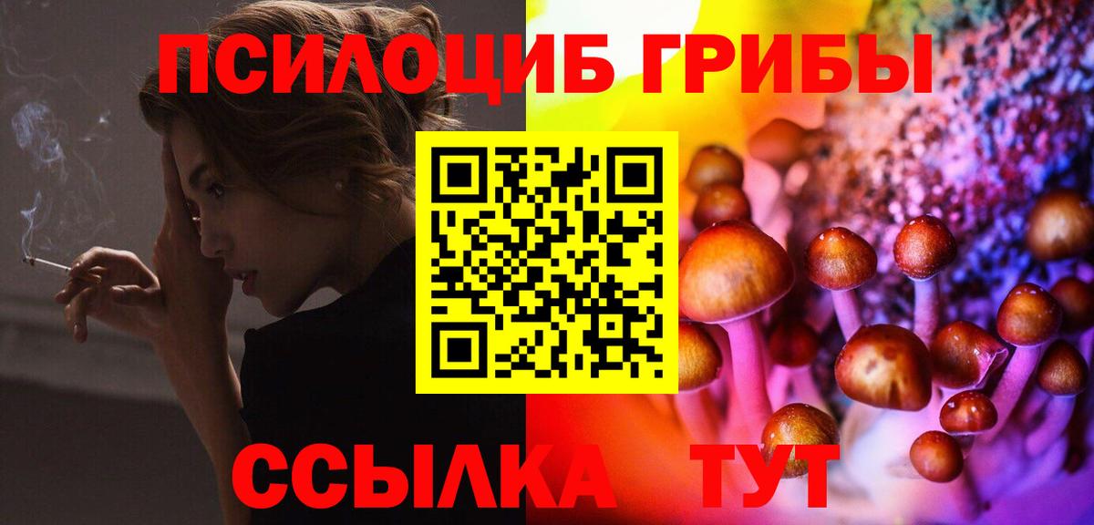 Учалы  Псилоцибиновые грибы мухоморы  Вход с VPN 